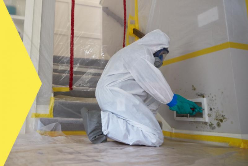 Why Waterproofing Is Your Best Defense Against Mold in Southern California